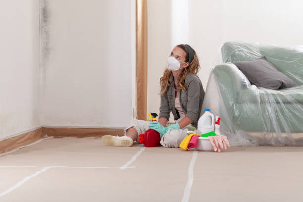 Reliable Mold Remediation contractor in District of Columbia, DC by Mold Remediation HQ